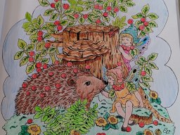 whatsapp bild 2024-02-14 um 12.55.27_976fbd56